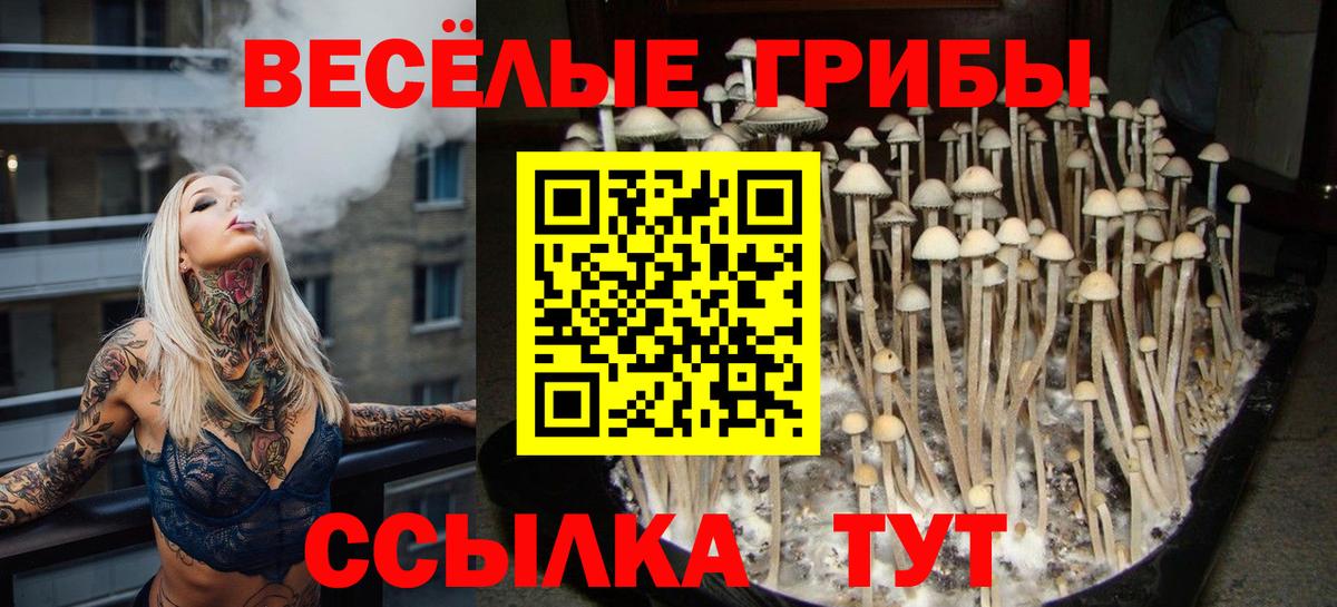 Галлюциногенные грибы мухоморы Волгоград