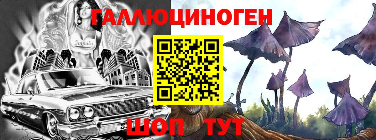Псилоцибиновые грибы MAGIC MUSHROOMS  Вход с VPN  Волгоград  Галлюциногенные грибы прущие грибы 